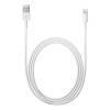 LIGHTNING TO USB CABLE (2.0 M)