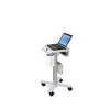 Ergotron STYLEVIEW LAPTOP CART/ SV10 F/LCD MAX 17IN 4.5KG